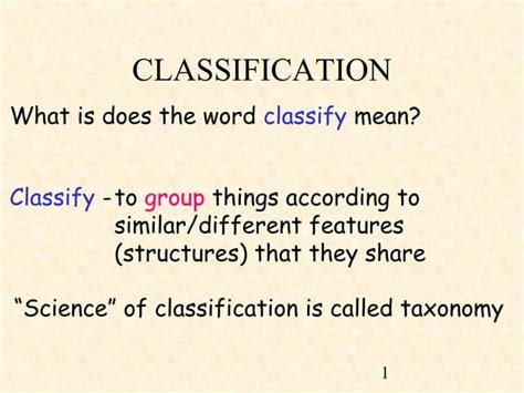 Classification Explained 的图像结果
