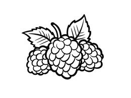 Image result for Raspberry Drawing Simple