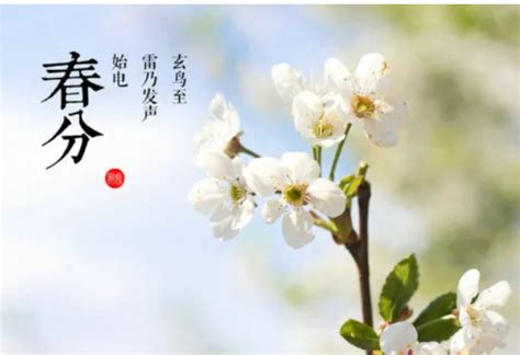 二十四节气之春分：传统习俗_腾讯视频
