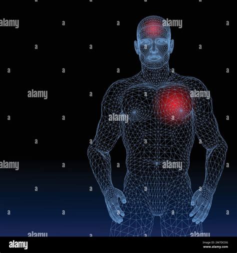 Image result for Radioactivite Corps Humain