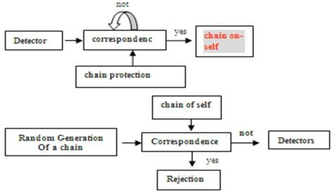 Image result for Negative Selection