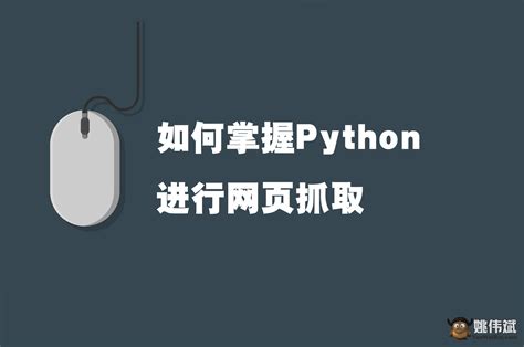 Web Browser Using Python 的图像结果