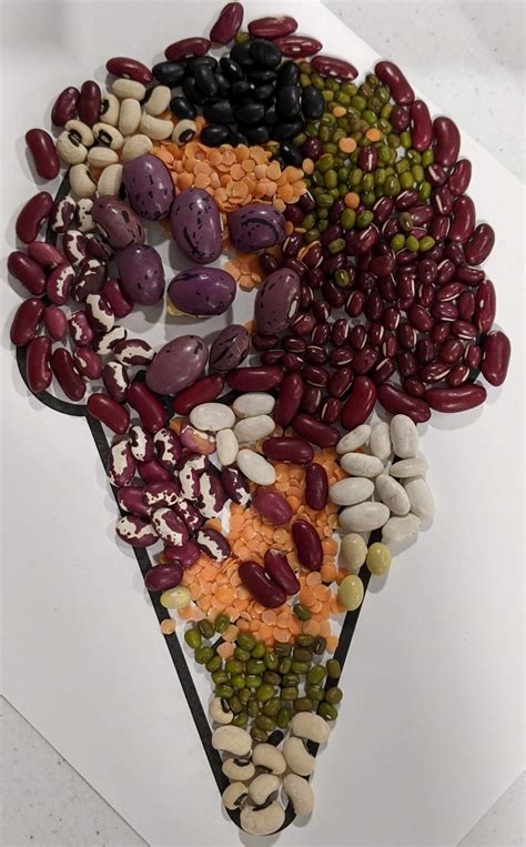 Colorado Beans at the Larimer County Fair - Colorado Dry Beans