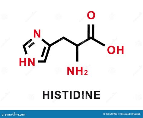 Histidine Chemical Formula. Histidine Chemical Molecular Structure. Vector Illustration ...