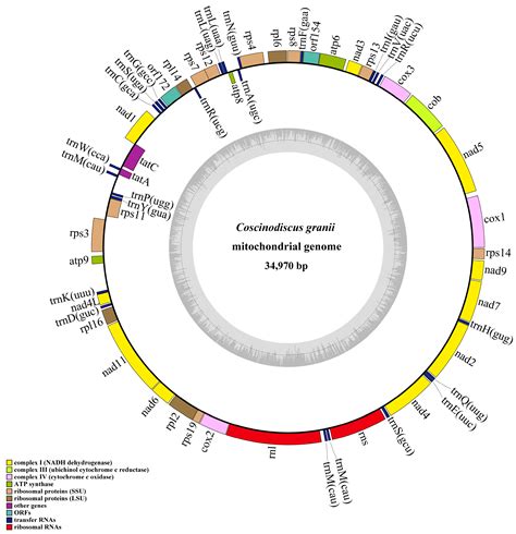 Genetic Diversity and Geographical Distribution of the Red Tide Species ...