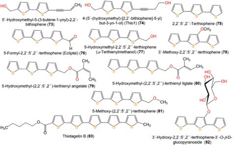 Thiophenes—Naturally Occurring Plant Metabolites: Biological Activities ...