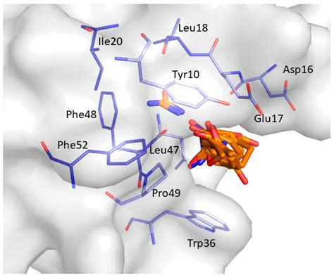 In Silico Identification of Potential Druggable Binding Sites on CIN85 ...