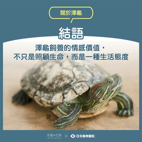 Image result for Name Match Algorithm