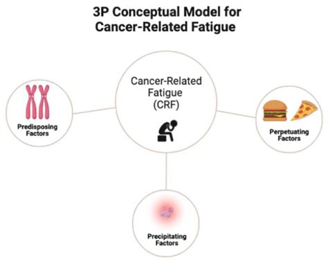 A New Approach to Understanding Cancer-Related Fatigue: Leveraging the ...