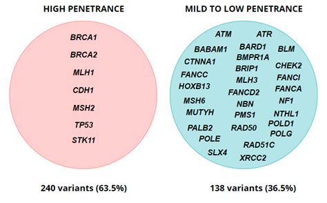 Application of Multigene Panels Testing for Hereditary Cancer Syndromes