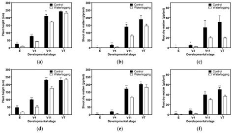 Effects of Waterlogging at Different Developmental Stages on Growth ...