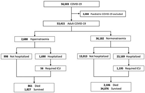 Epidemiology and Outcomes of Hypernatraemia in Patients with COVID-19—A ...