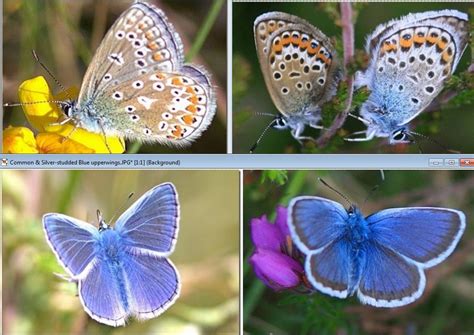 Image result for Common Core Grade 3 Math