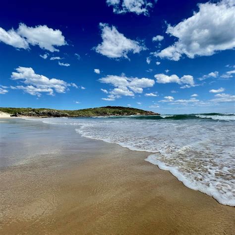 LITTLE GIBBER (DARK POINT) (2025) All You Need to Know BEFORE You Go ...