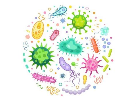 Rezultat imagine pentru Modelling in Activity Task Class 8