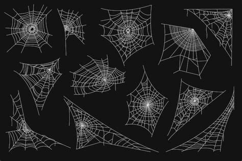 Page 10 | Cobweb Vectors - Download Free High-Quality Vectors from ...