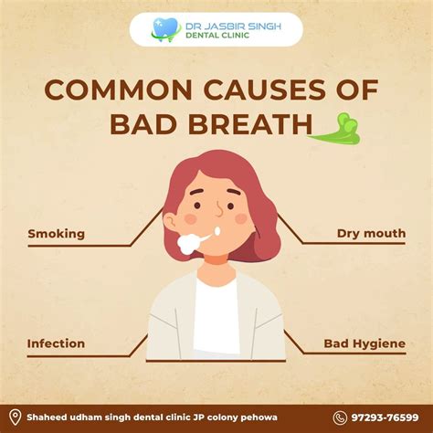 Us dental – Artofit