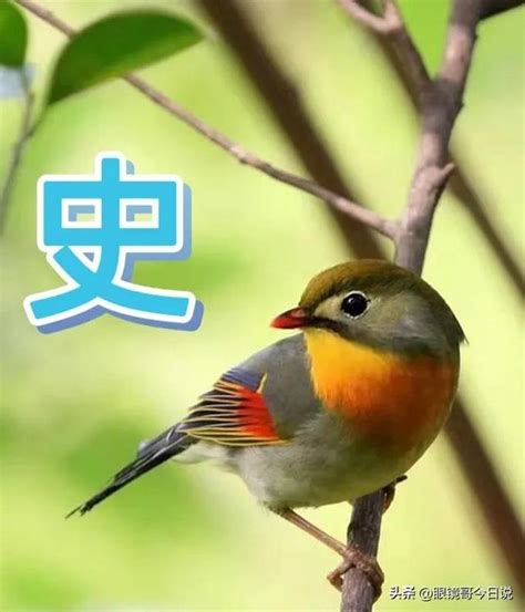 吴字取名男宝宝三个字？吴字取名男宝宝三个字的名字！ | 宝宝取名网