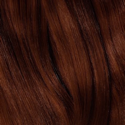 Chestnut Brown Hair Color