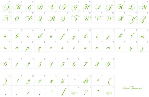 Image result for Chopin Script