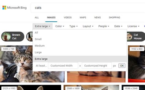Image result for Bing Searching Tips