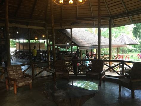 Good food at good price - Reviews, Photos - Green Bamboo - Tripadvisor