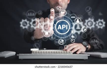 API Programmer's 的图像结果