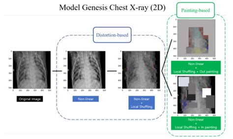 A Deep Learning Model with Self-Supervised Learning and Attention ...
