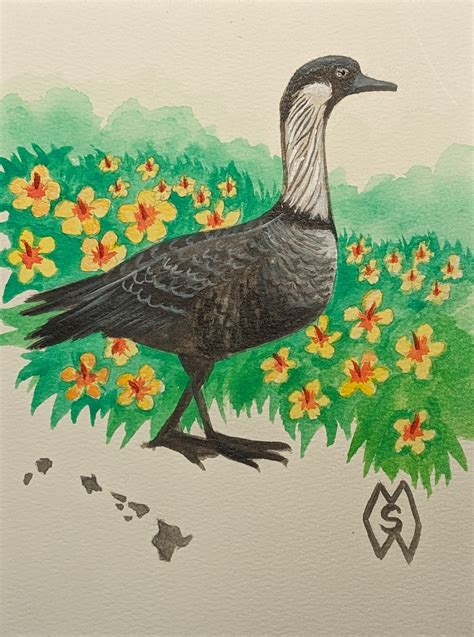 ArtStation - Hawaii state bird and flower, the Nene and yellow hibiscus