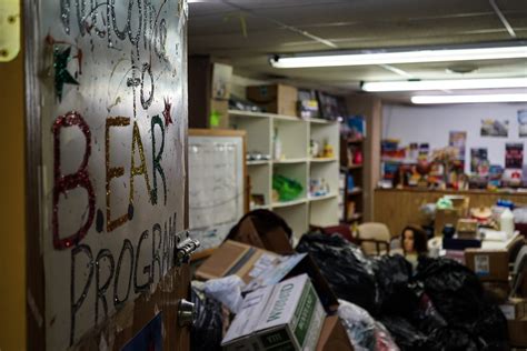 Image result for Bear Program