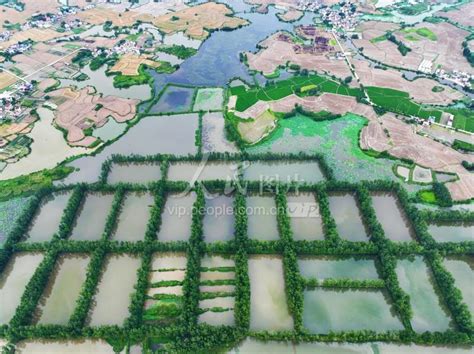 安徽芜湖：生态养殖景色美-人民图片网