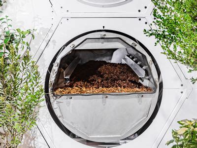 Image result for Human Corpse Composting