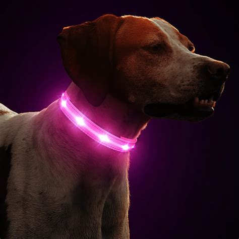 Light Up Dog Collars On Amazon at Wayne Tisdale blog
