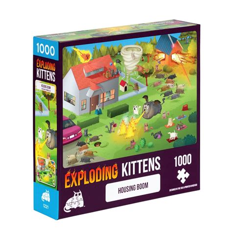 Image result for Exploding Kittens Puzzle