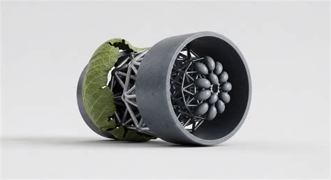 Image result for Example of Systemic Effects