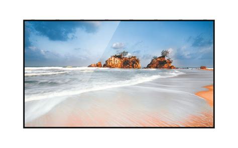 Digital Display Monitor 的图像结果