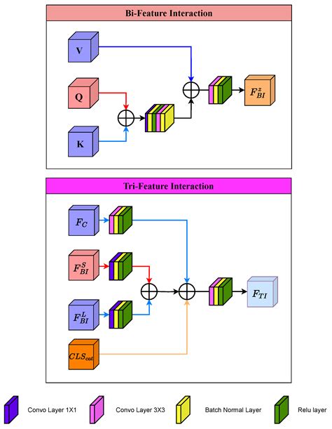 TFI-Fusion: Hierarchical Triple-Stream Feature Interaction Network for ...