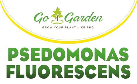 Go Garden Pseudomonas Fluorescens Powder (2x10⁸ CFU/g) - 900g | Bio ...