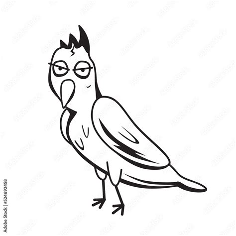 Image result for Maina Drawing