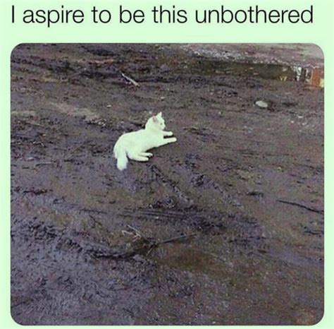 Alien Face Meme 的图像结果