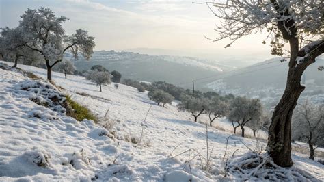 Does It Snow in Portugal? 5 Wonderful Destinations to Discover