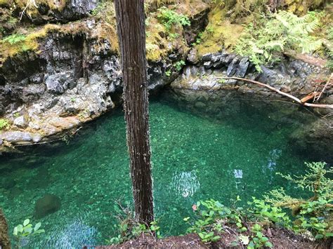 Opal Creek Wilderness - Willamette National Forest — Old-Growth Forest ...