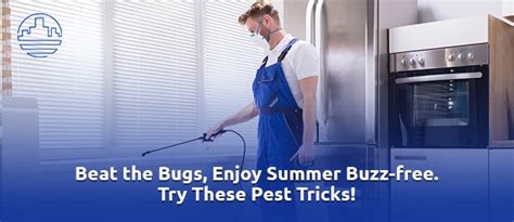 Image result for Bug Pest Control Tips