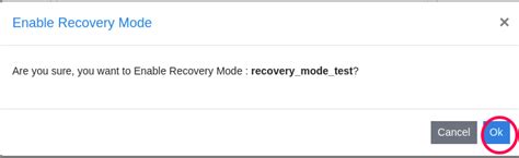Access node in recovery mode | E2E Cloud