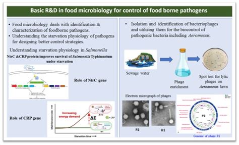 Research & Development Activities – Health, Food and Agriculture , BARC