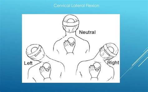 Image result for Contralateral Lateral Flexion