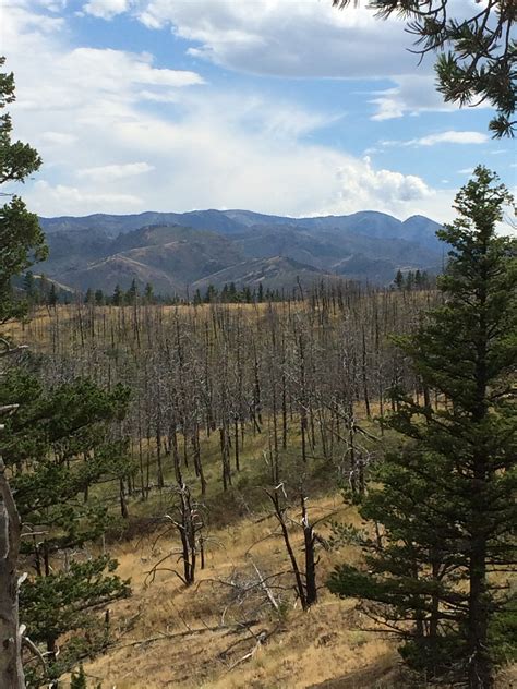 Sweet Grass County, MT, USA Sunrise Sunset Times