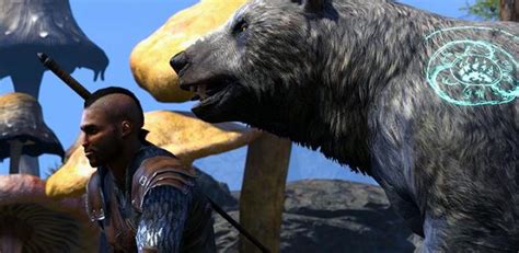 عرض جديد للعبة The Elder Scrolls Online: Morrowind يركز على فئة الـ ...