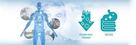 The Importance of Detoxification | VitaOne