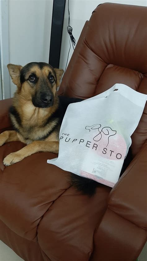 Shop with your pup at this wonderful one stop shop for all pet needs | LBB